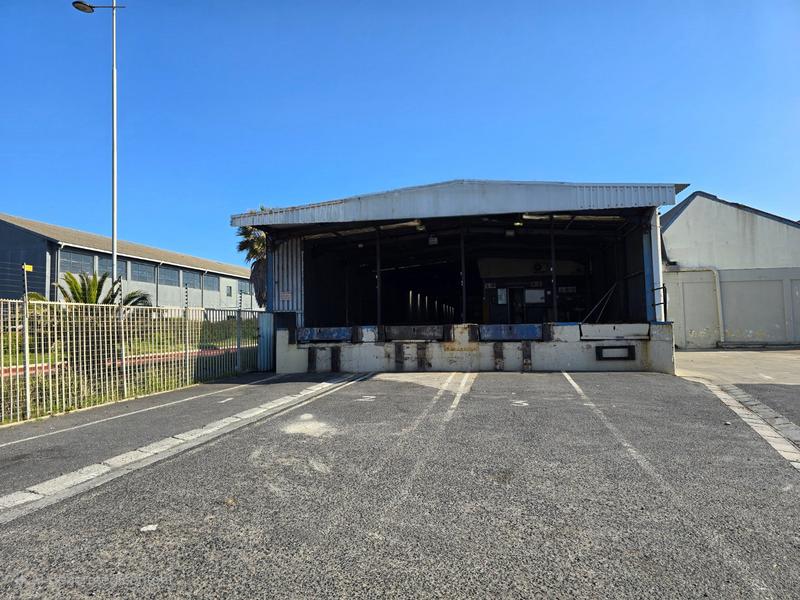To Let commercial Property for Rent in Paarden Eiland Western Cape